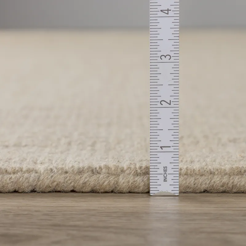 Monaco Sisal Taupe 2\' x 3\' Rug