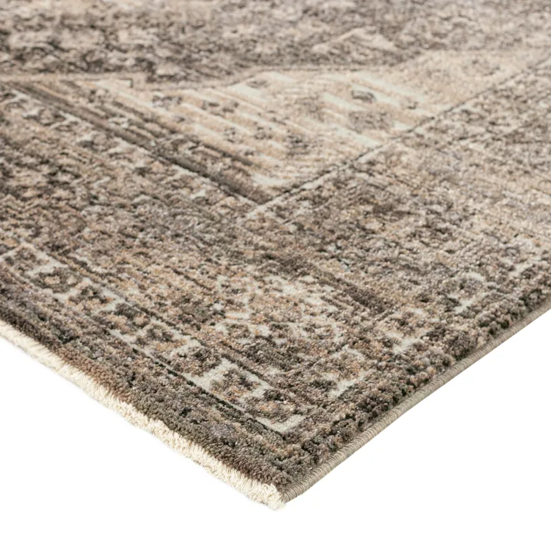 Odessa Graphite 7\'10\" x 10\' Rug