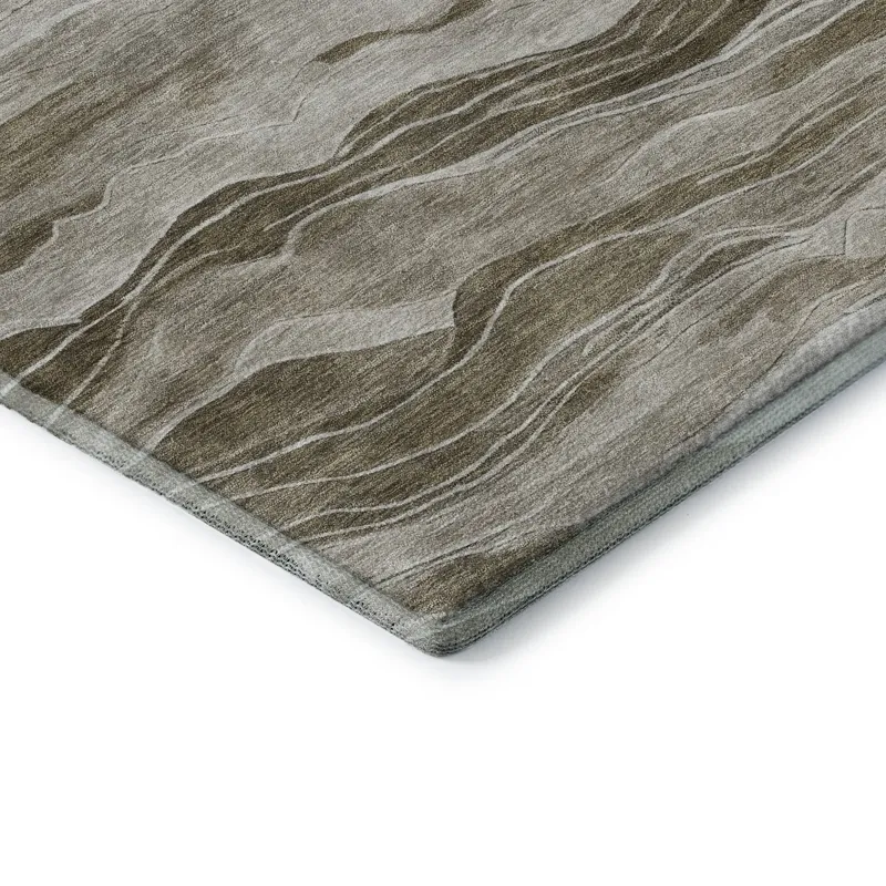 Machine Washable Indoor/Outdoor Pacifica Brown 2\'6\" x 3\'10\" Rug