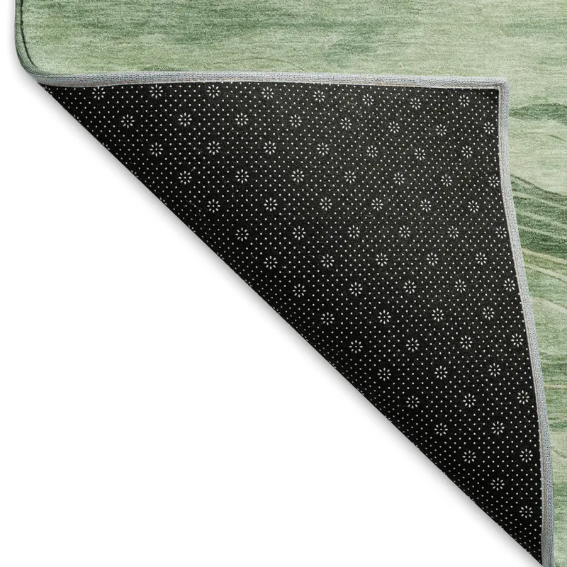 Machine Washable Indoor/Outdoor Pacifica Green 2\'6\" x 3\'10\" Rug