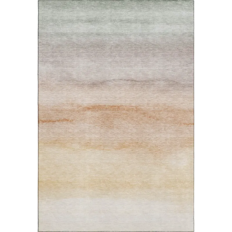 Machine Washable Indoor/Outdoor Pacifica Coral 3\' x 5\' Rug