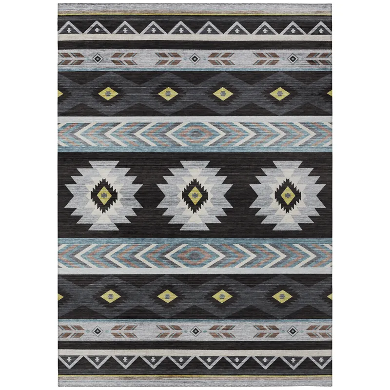 Indoor/Outdoor Phoenix Black Washable 8\' x 10\' Rug