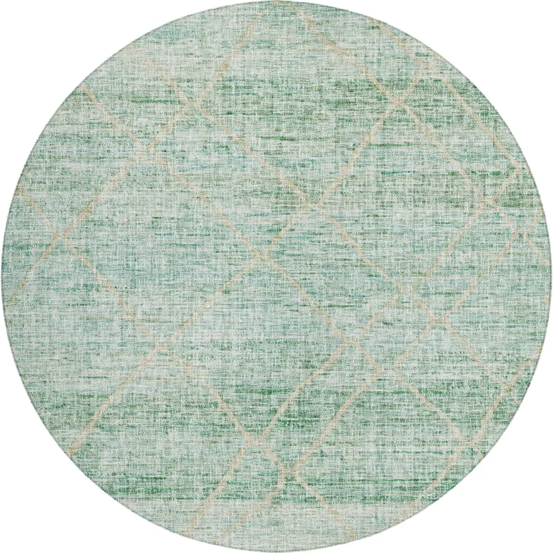 Luxury Washable Indoor/Outdoor Portico Aloe 8\' x 8\' Round Rug