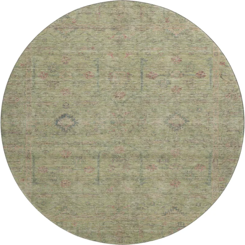 Luxury Washable Indoor/Outdoor Ravenna Aloe 8\' x 8\' Round Rug