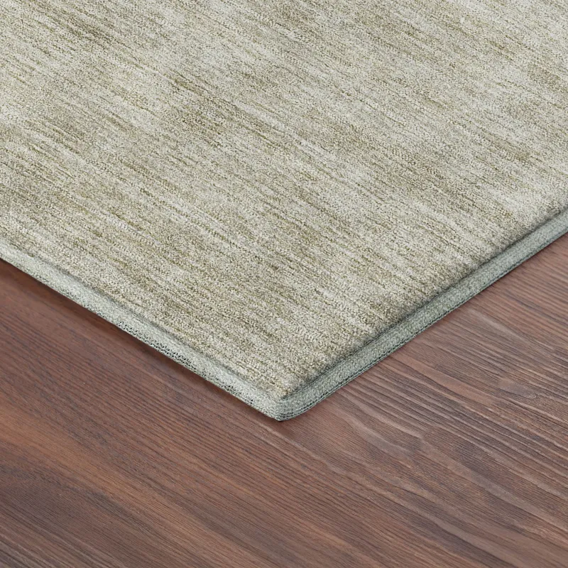 Luxury Washable Indoor/Outdoor Soft Essentials Beige 3\' x 5\' Rug