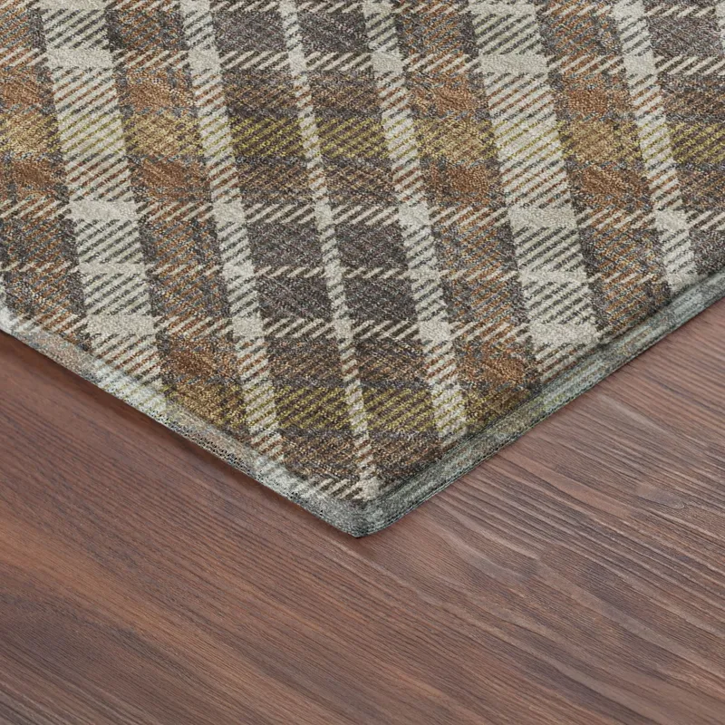 Luxury Washable Indoor/Outdoor Soft Essentials Earth 2\'6\" x 3\'10\" Rug