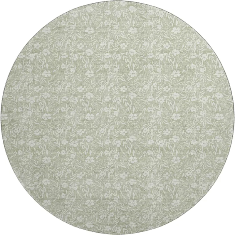 Luxury Washable Indoor/Outdoor Soft Essentials Celery 8\' x 8\' Round Rug
