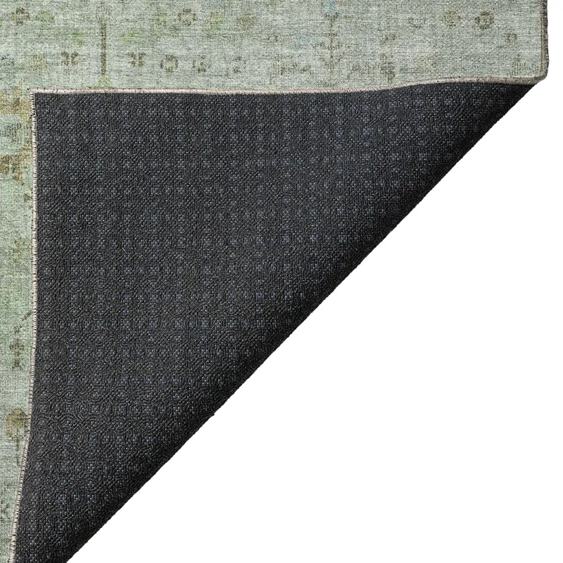 Luxury Washable Indoor/Outdoor Solace Aloe 3\' x 5\' Rug