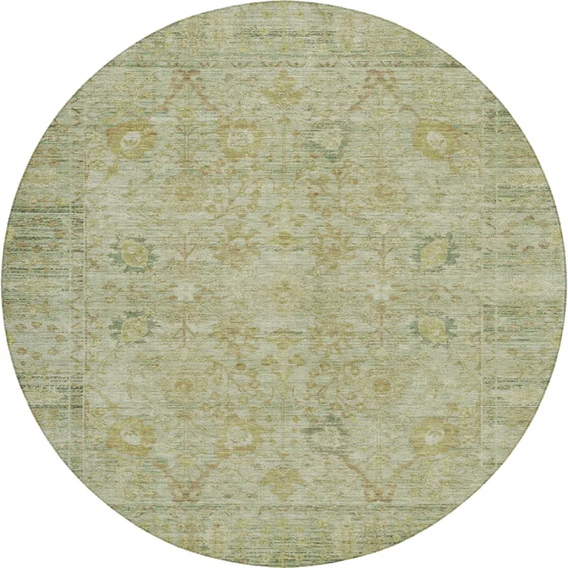 Luxury Washable Indoor/Outdoor Solace Sage 8\' x 8\' Round Rug