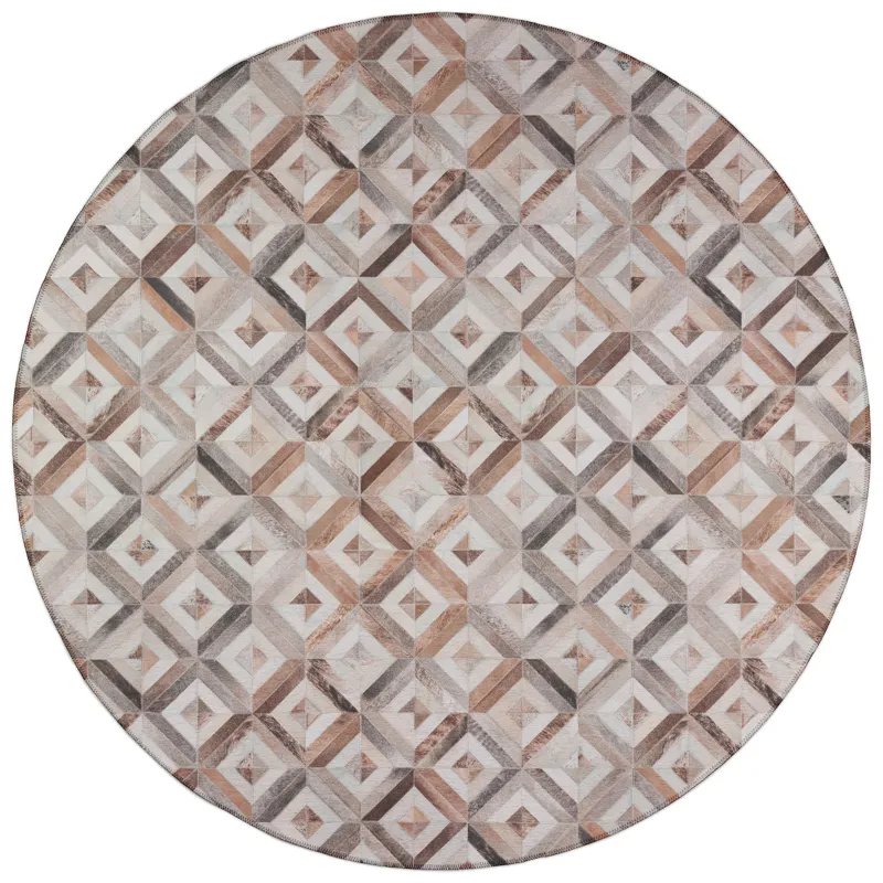 Indoor/Outdoor Stetson Flannel Washable 10\' x 10\' Round Rug