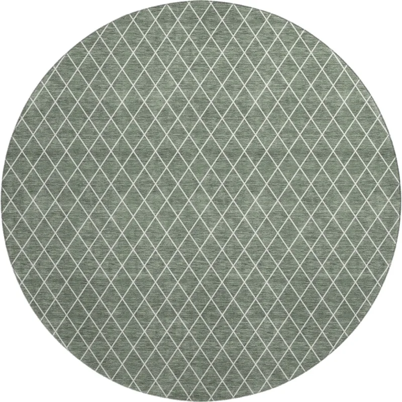 Luxury Washable Indoor/Outdoor The Reserve Basil 8\' x 8\' Round Rug