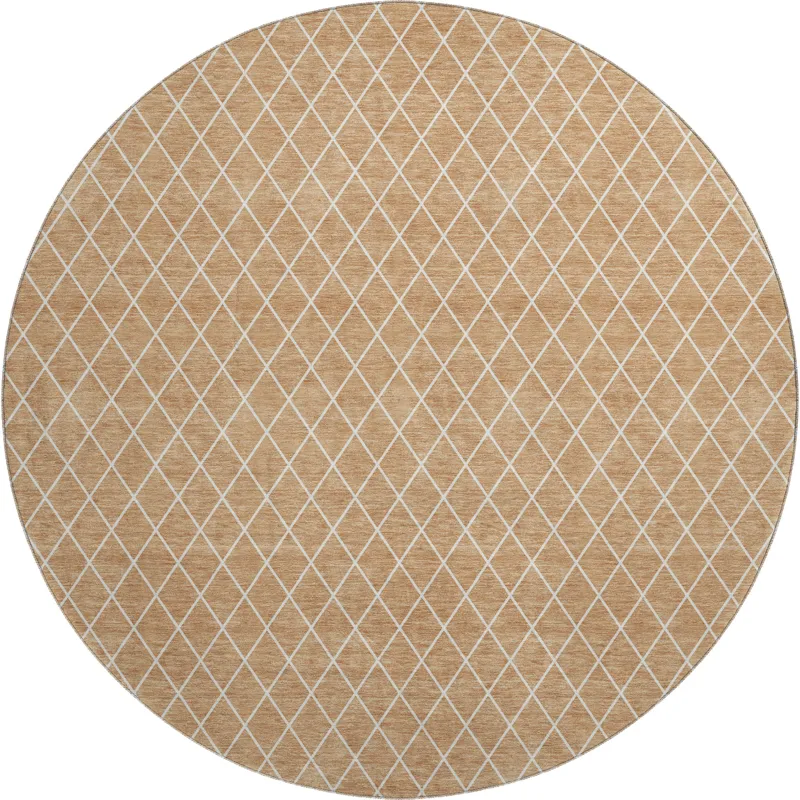 Luxury Washable Indoor/Outdoor The Reserve Copper 8\' x 8\' Round Rug
