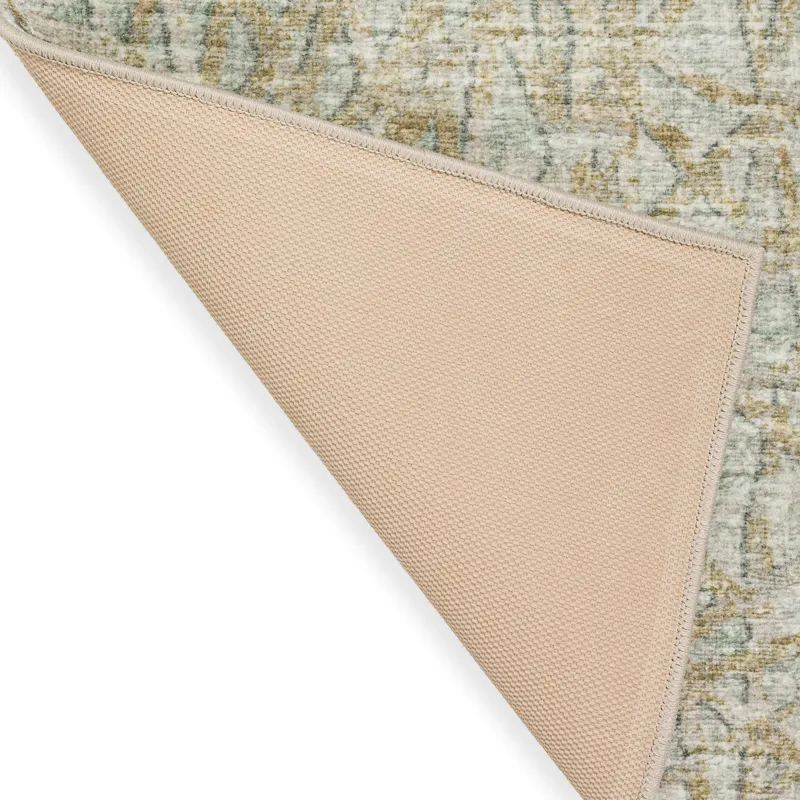 Winslow Aloe 3\' x 5\' Rug