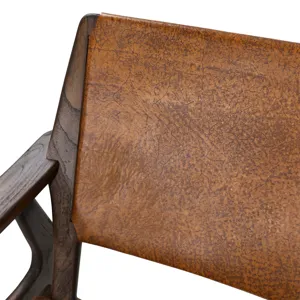 Dania Occasional Chair Brown