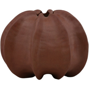 Brynn Vase Terracotta