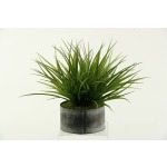 Wild Grass in Round Tin Planter