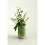 Aloe, Burro Tail, & Succulents in Metal Vase