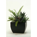 Aloe, Eecheveria, & Succulents in Metal Planter