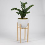 Zamifolia Plant in White Planter w/Wood Stand