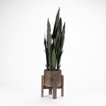 Mother in Law Tongue Plant in Round Planter w/Wood Stand