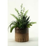 Aloe, Tillandsia & Echeveria in Ceramic Planter