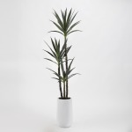 6' Yucca Tree in Tall Round White Resin Planter