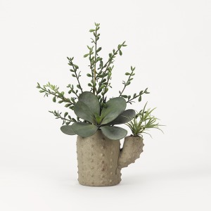 Aloe & Echeveria in Terra Cotta Cactus Planter
