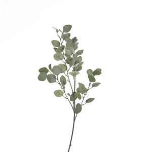 GREEN/GREY SLVR DLR BRANCH