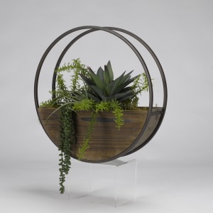 Aloe, Tillandsia, Wild Succulents & Rosemary in Wood/Metal Wall Sconce