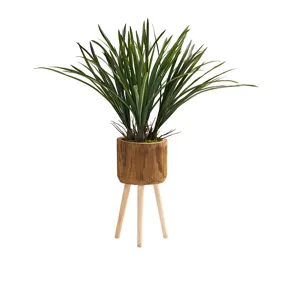 Green Areca Grass in Wooden Bowl w/Wood Legs