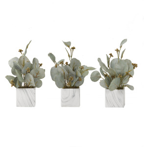 Seeded Eucalyptus Branches in Marbled Ceramic Cube &ndash; Set of 3