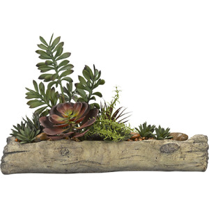 Assorted Succulents on Cement Log