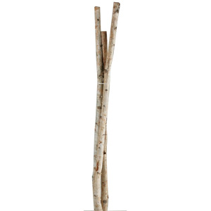 6&prime; Small Birch Pole Bundle