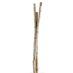 6&prime; Small Birch Pole Bundle
