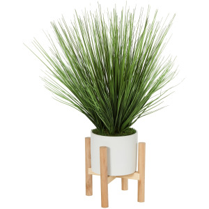 Onion Grass in White Planter with Wooden Stand