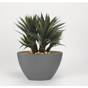Star Succulent in Oval Grey Resin Planter