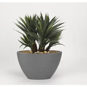 Star Succulent in Oval Grey Resin Planter