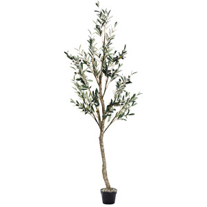 7.5' Olive Drop In Tree