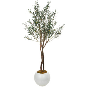 Fruited Olive Tree in Large White Porter Planter