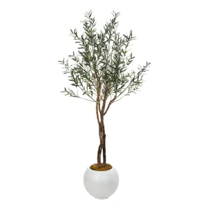 Fruited Olive Tree in Large White Porter Planter