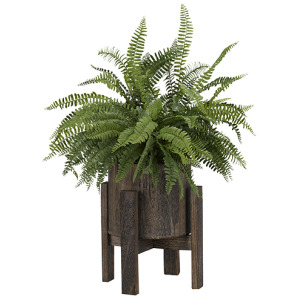 Boston Fern in Small Cooper Planter