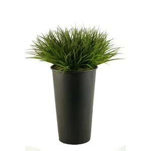 Wild Grass in Large Black Cheer Planter
