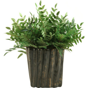 Green Locust Spray in Oval Ceramic Planter