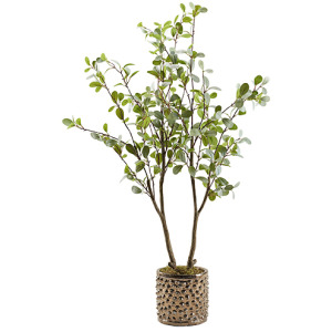 Mini Eucalyptus in Pierce Planter 4′