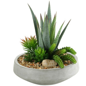 Agave Plant w/Mixed Succulents in Contemporary Bowl