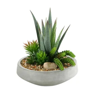 Agave Plant w/Mixed Succulents in Contemporary Bowl