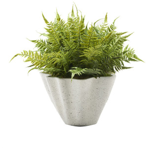 Leather Fern in Grey Living Planter