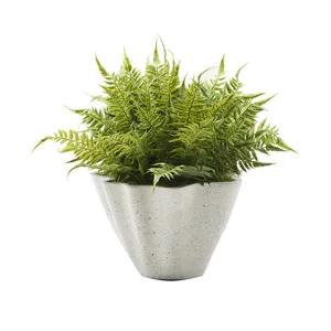 Leather Fern in Grey Living Planter
