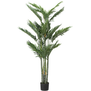 Golden Palm Tree 5&prime;