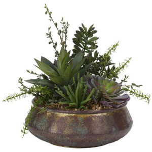 Assorted Succulents, Aloe, and Jade Plant in Small Virtu Planter
